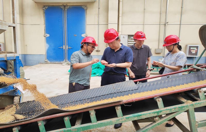 局黨組書記、局長蔣超督導(dǎo)省儲小麥?zhǔn)召徍图Z食倉儲項(xiàng)目建設(shè)工作