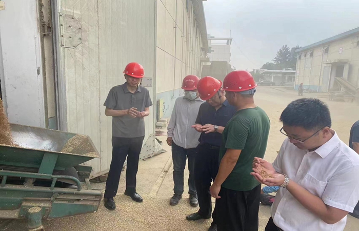 局黨組書記、局長蔣超督導(dǎo)省市級儲備糧收購、項(xiàng)目建設(shè)工作