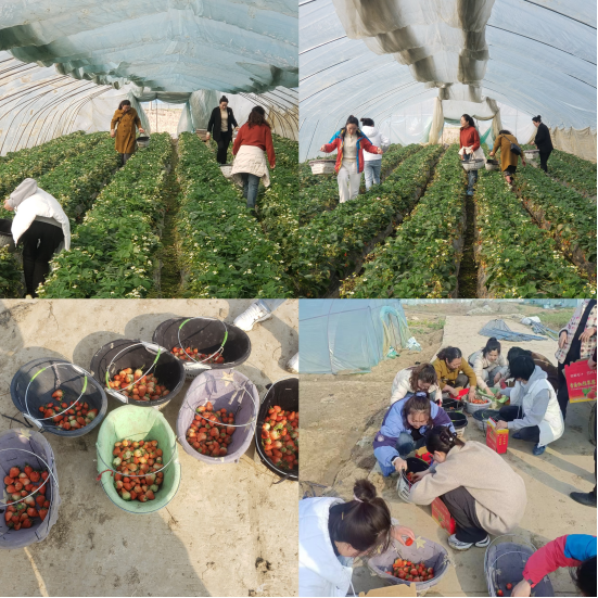 集團(tuán)工會(huì)組織開展“赴春天之約，綻巾幗 芳華”三八婦女節(jié)活動(dòng)