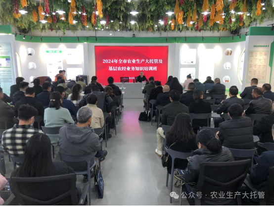 農(nóng)管家公司開展2024年全市農(nóng)業(yè)生產(chǎn)大托管及基層農(nóng)經(jīng)業(yè)務(wù)知識培訓