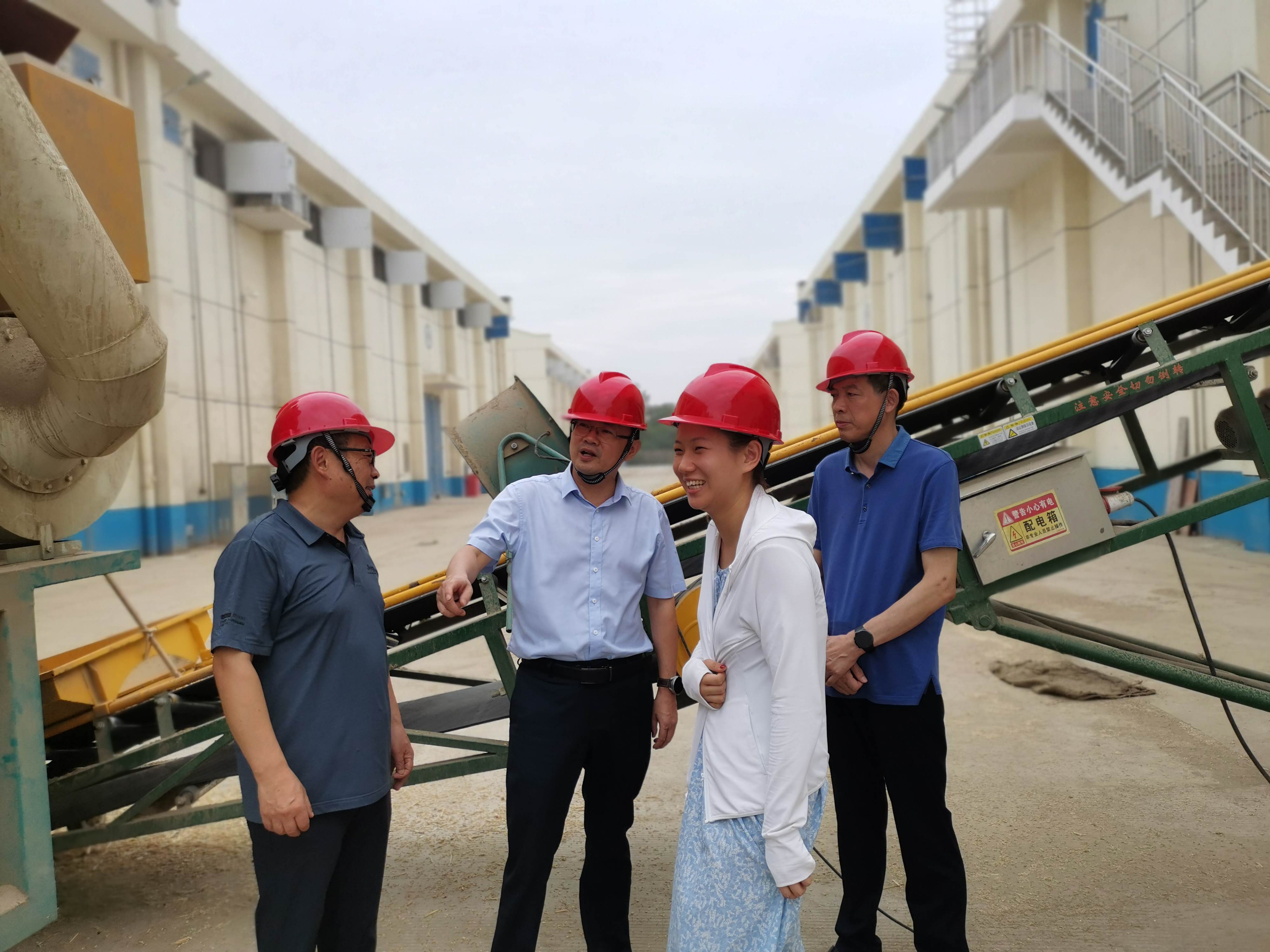 局黨組書記、局長徐權(quán)赴羅山公司督導市儲小麥收購工作