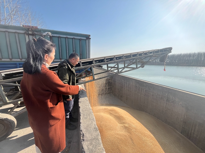 “黨建領(lǐng)航，守護糧安”淮糧集團開展特色品牌黨建活動