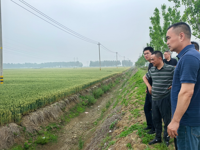 淮糧實(shí)業(yè)公司開展小麥?zhǔn)袌?chǎng)調(diào)研